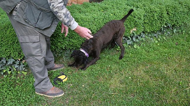 Un fine settimana a Villa Sonnino di San Miniato con i tartufi di Savitar