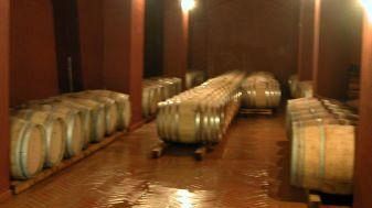 Coldiretti: on line la guida della vendita diretta