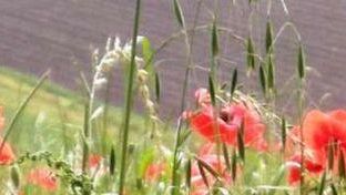 Arezzo: Dal14 al 16 novembre al Centro Affari l’Italia dell’agriturismo