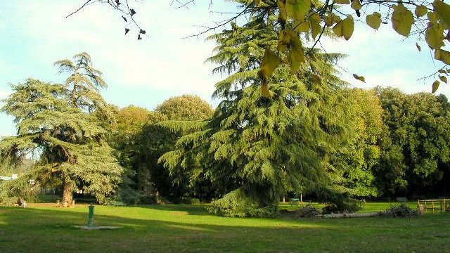 Palestre all’aperto, sport gratuito in 10 piazze e giardini: ecco dove