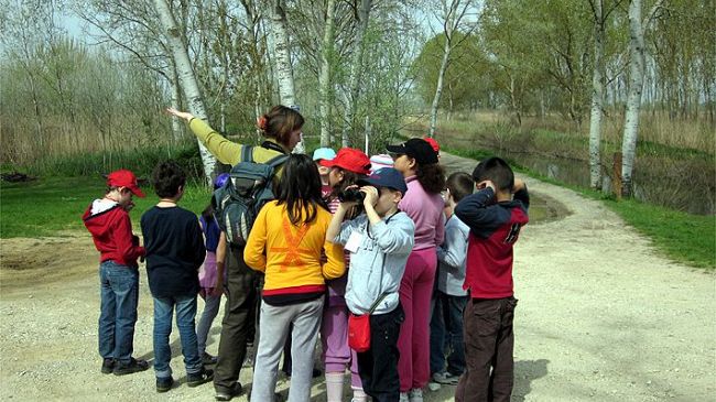 Regionali: un appello per l’ambiente