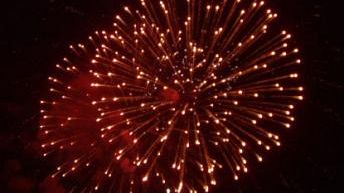 Firenze e Bologna, due città un'unica festa