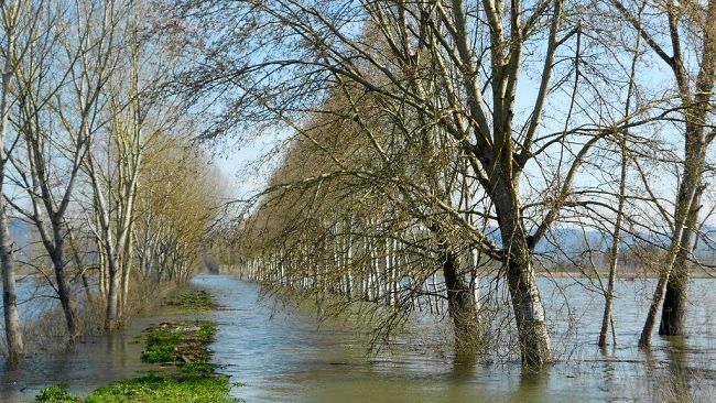 Un convegno sui temi della difesa dal rischio idrogeologico e della gestione dell’acqua