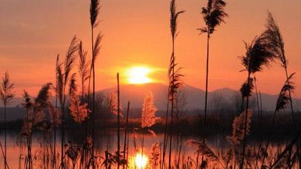 Eccidio Padule di Fucecchio, Bugli: 