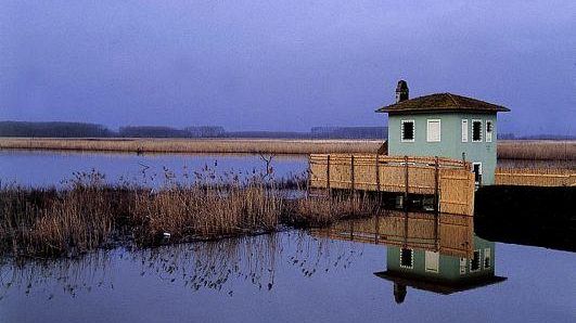 Fucecchio: l’ampliamento all’area umida interna più importante in Italia
