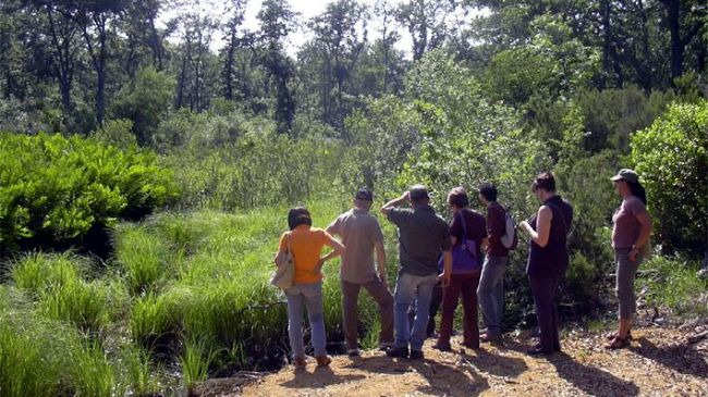 Visite primaverili nel Padule di Fucecchio