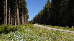 6° Trail Val di Bisenzio: Corri sui sentieri del Monferrato