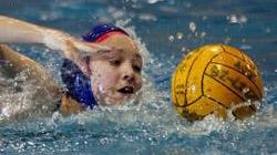 b103031746-fiorentina-wp-vincente-con-la-plebiscito-padova