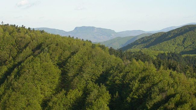 Fusioni di comuni: il parere negativo dell’aula regionale