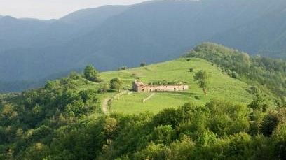 Approvata la nuova legge regionale sui boschi