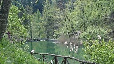 Parco foreste casentinesi, al via la II edizione di