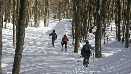 Sport, animali e natura nel week end del Parco delle Foreste Casentinesi