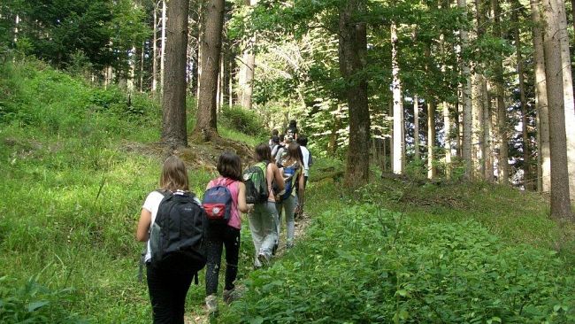 Fase 2 Coronavirus: scuola e famiglie si sentono dimenticate