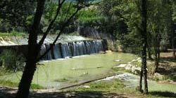 Animalisti e ambientalisti: ''Rossi allontani i cacciatori selvaggi''