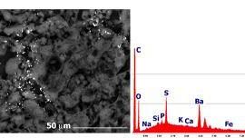 Contro l'inceneritore oltre 100 medici della piana e di Careggi