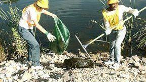 Puliamo il Mondo 2013. Ecco gli eventi in programma