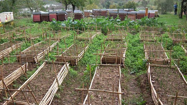 Festival dei Semi. Firenze 28-29 aprile 2014