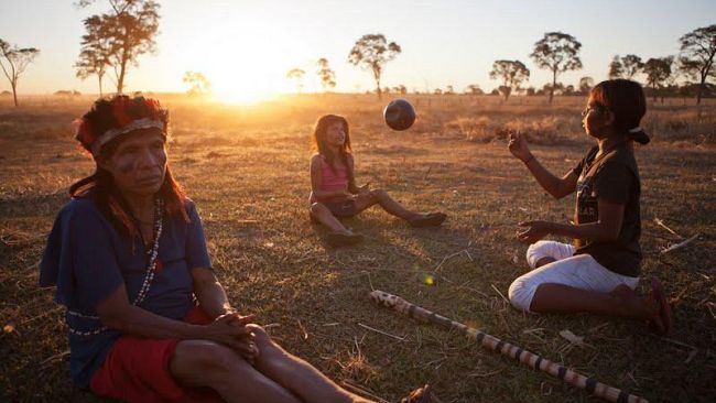 Zucchero Amaro, il consumo aumenta la povertà anche