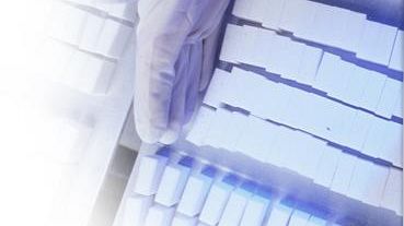 Barbabietola da zucchero: risorse aggiuntive per la riconversione