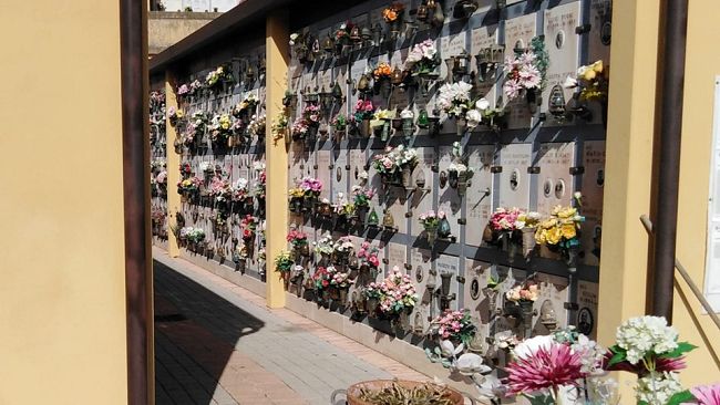 Mortalità 2020 in Toscana: a marzo +9 per cento