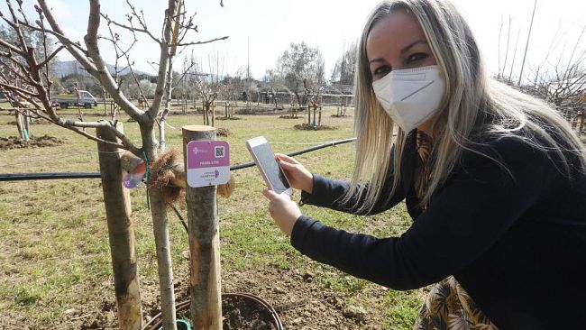 Via del Guarlone: un bosco al posto di un’area abbandonata 