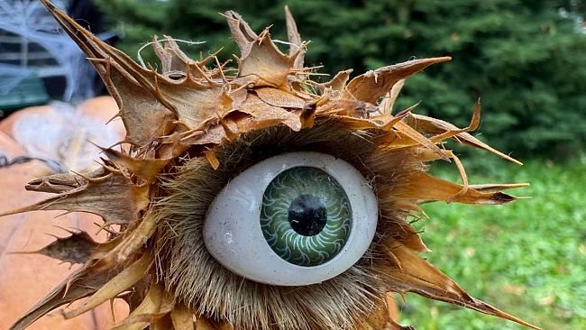 ​Guida ad Halloween: festival, zucche ed eventi misteriosi 