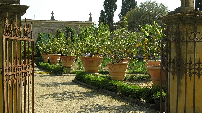 Open Week a Villa La Pietra