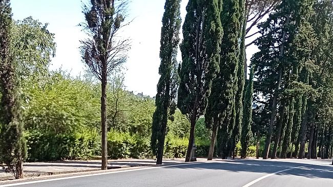 A 16  anni su uno scooter rubato e senza patente