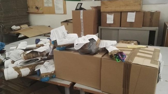 Venditori abusivi in centro storico: sequestri ad opera del reparto antidegrado