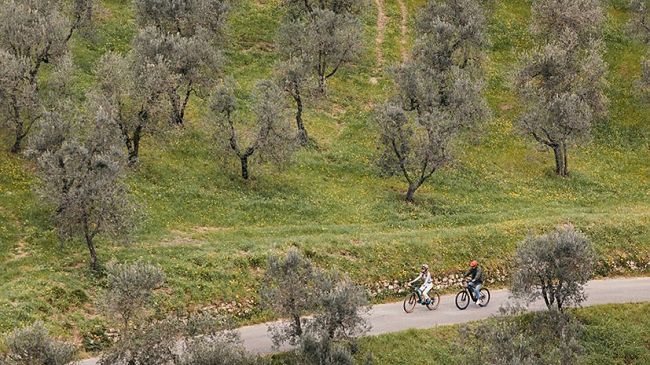 Riapre la Tenuta di Artimino