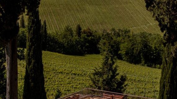 Tenuta di Sticciano: tra welness, trekking, vini ed extravergine