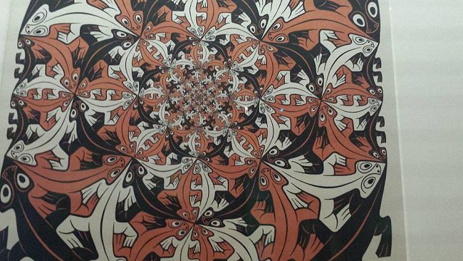 A Pisa la mostra di Escher mostra Pisa