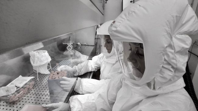 Coronavirus: 15 nuovi casi (5 dai test sierologici), 2 decessi, 79 guarigioni