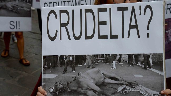 Carrozze trainate dai cavalli: migliaia di firme per chiederne l’abolizione