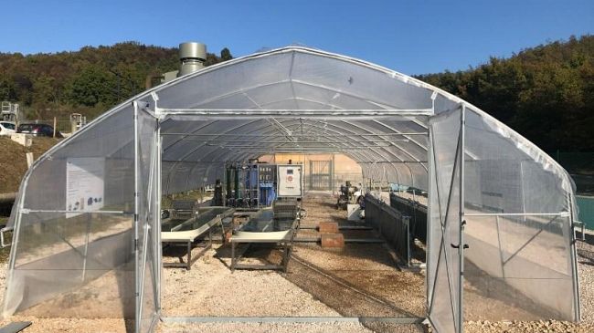 In Toscana la prima serra geotermica per alga spirulina