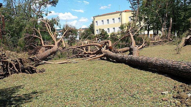 Tempesta su Firenze: Rossi firma lo stato di emergenza