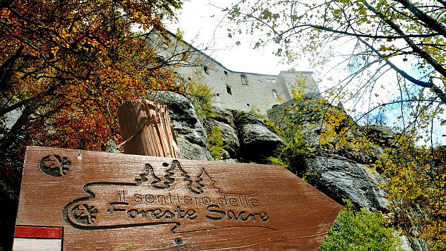 San Francesco e quello speciale legame tra Firenze e La Verna