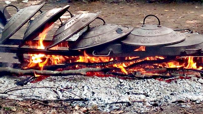 Al caffè de La Versiliana degustazioni di percorsi enogastronomici