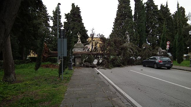 Vento forte: tetti ed alberi caduti, scuole chiuse e traffico in tilt