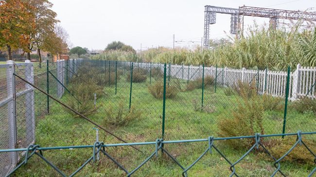 Covid-19: orti sociali consentiti agli anziani