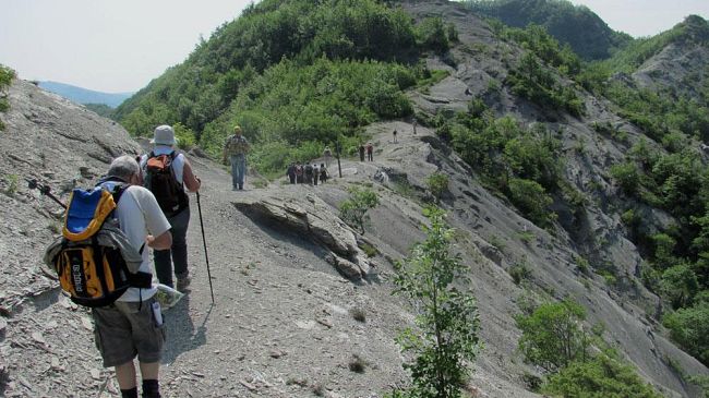 Rete Escursionistica Toscana: tracciato della Via Romea proposto dal Parco delle Foreste Casentinesi