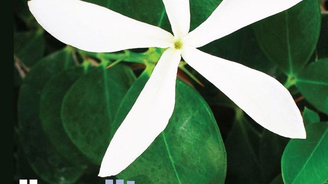 Libia: bombe su Zawia