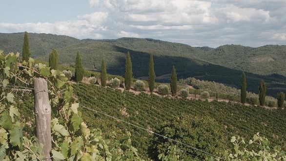 Dal 21 al 28 ottobre “La Settimana del Geografico”