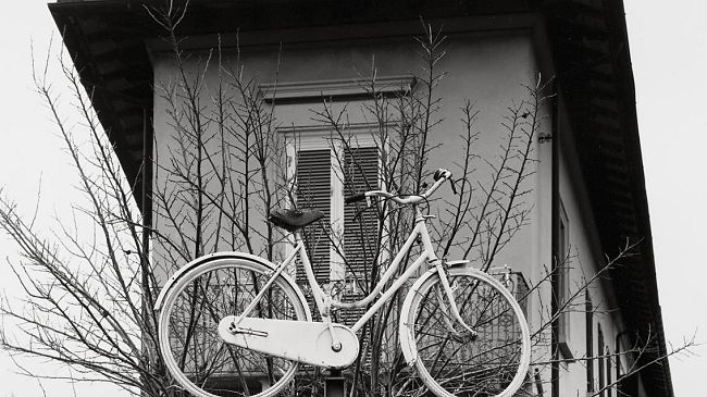 Fotografia d’autore: 60 scatti su sito web del Consiglio Regionale