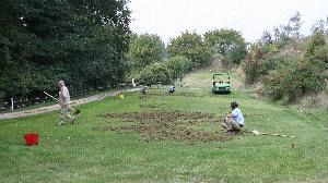 I cinghiali devastano l'Ugolino