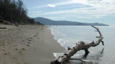 Paesaggio toscano: in vendita su Ebay l'isolotto della Paolina all’Elba