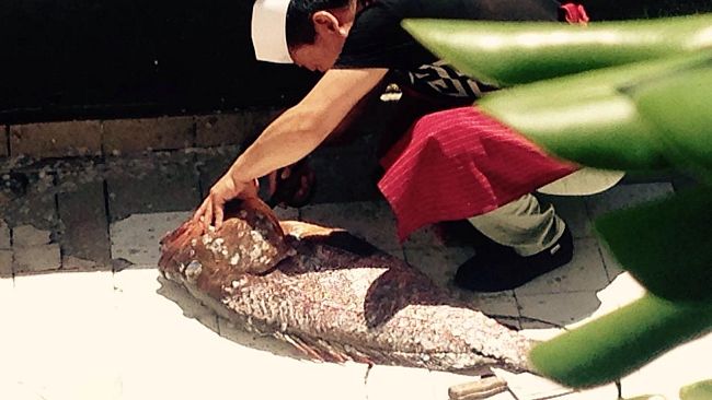 Periferie: le segnalazioni dei cittadini ai Carabinieri e le interrogazioni di Fratelli d’Italia al Sindaco