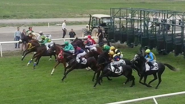 Il 25 aprile al Visarno: cavalli, cappelli e solidarietà