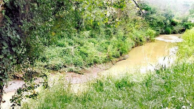 Codice giallo per vento, mareggiate e rischio idrogeologico