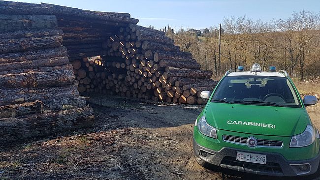 Controlli dei Carabinieri Forestali: tagli a raso senza autorizzazione